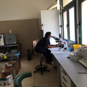 laboratorio analisi mascherina 3